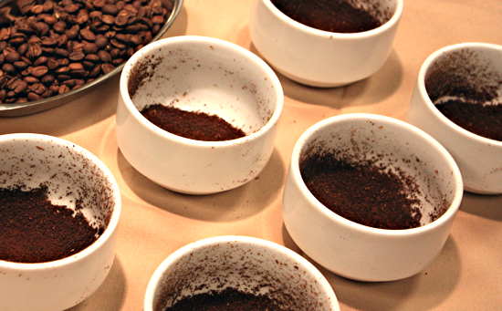 A group of cups filled with coffee beans.